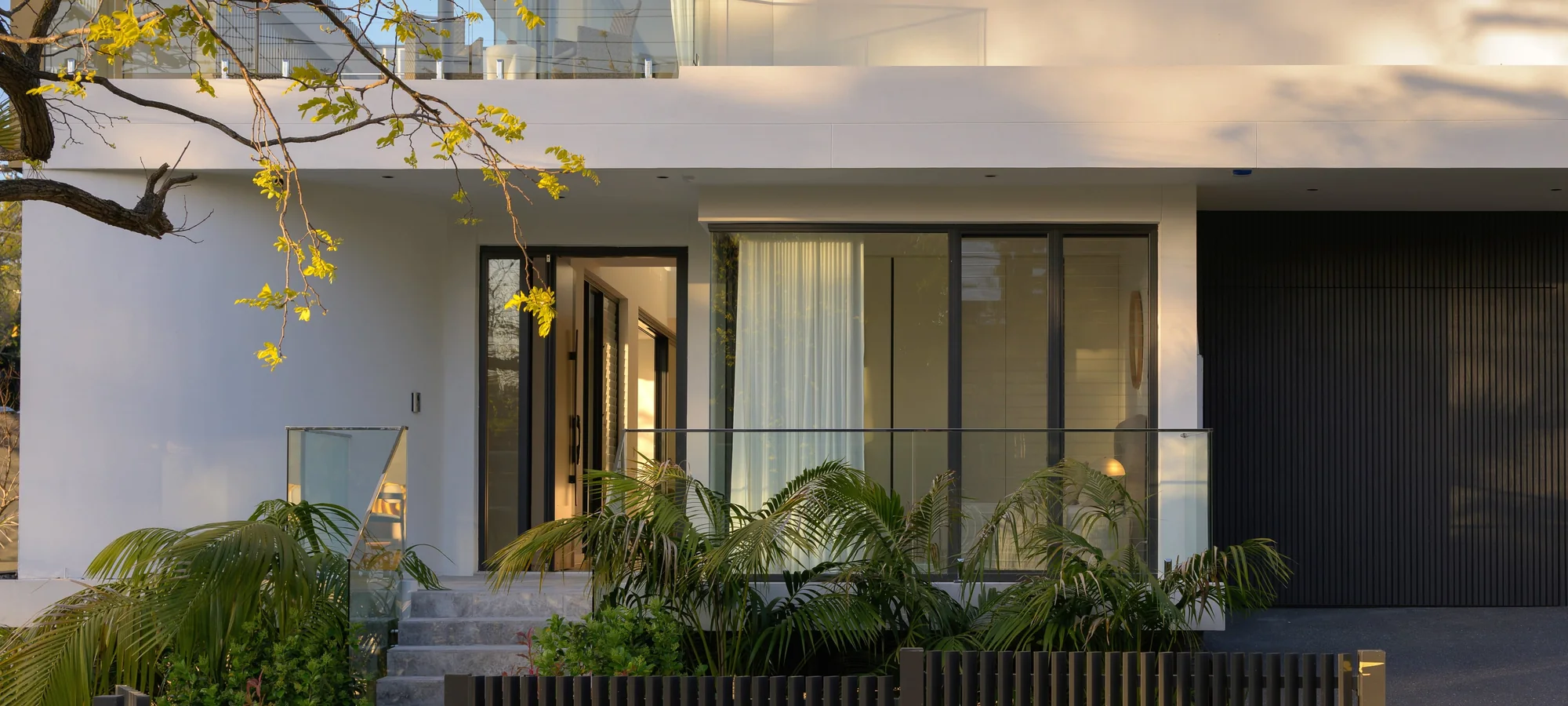Landscaped front entry with stone steps, palms and full-height glazing